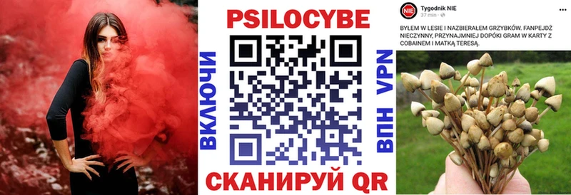 omg маркетплейс  Киренск  Галлюциногенные грибы прущие грибы 
